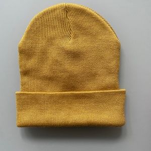 Aritzia Beanie